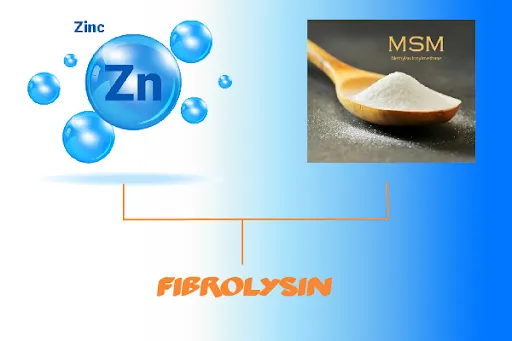 Sử dụng sản phẩm thảo dược chứa Fibrolysin giúp phòng ngừa căn bệnh viêm phổi